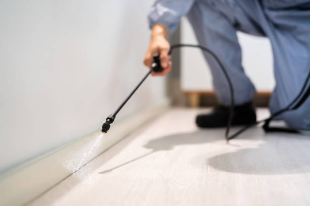Licensed Mosquito Control service in Noroton, CT - Show Me Pest Control
