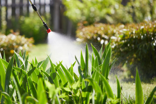 24/7 Emergency Mosquito Control experts in Noroton, CT