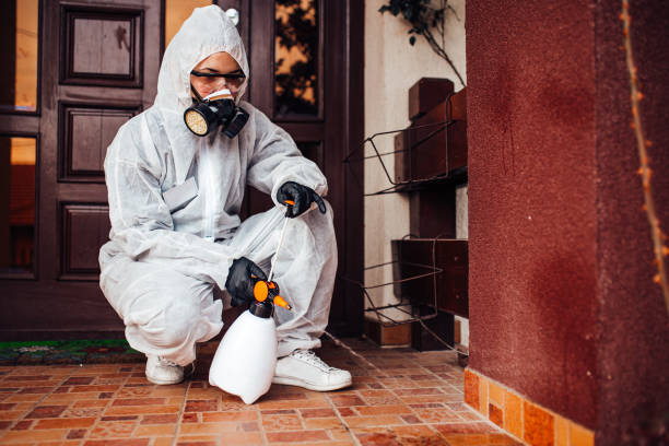Reliable Mosquito Control contractor in Noroton, CT by Show Me Pest Control
