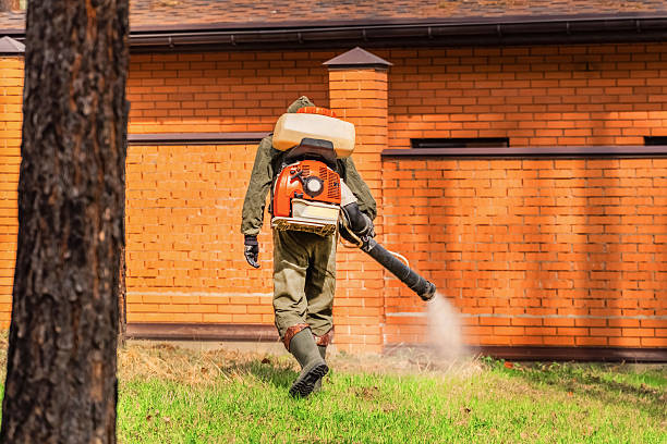 Top rated local Mosquito Control specialists in Noroton, CT